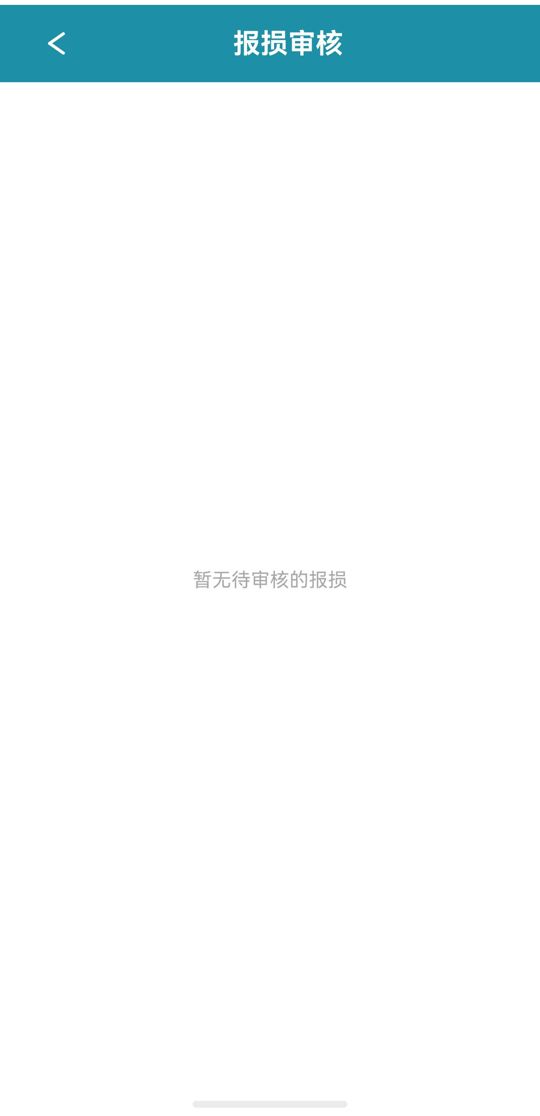 报损审核